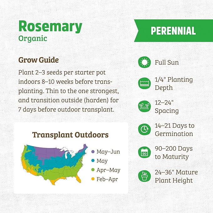 Back to The Roots Seed Packets - Rosemary