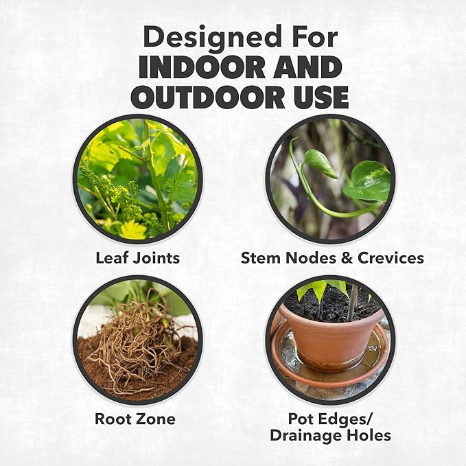 Mealy Bug Killer - Fast-Acting Mealy Bug Killer for Soil & Plants, 16oz