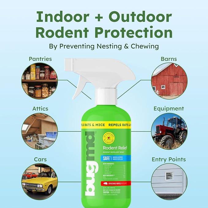 BugMD Peppermint Spray for Rodents - Natural Mouse and Mice Repellent | With Cinnamon, Clove and Rosemary Oils, Safe for Indoor and Outdoor Use | 16oz, 2 Pack