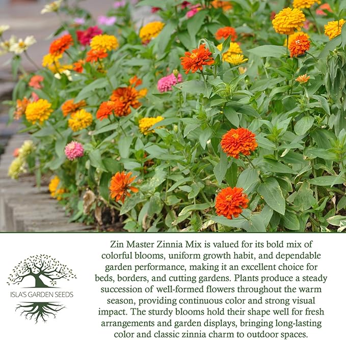 Zin Master Mix Zinnia Seeds (Zinnia elegans) – 200+ Heirloom Non GMO Flower Seeds by Isla’s Garden Seeds, Easy Growing Colorful Summer Blooms for Pollinators, Beds, Borders, Cutting Gardens, Gift Idea