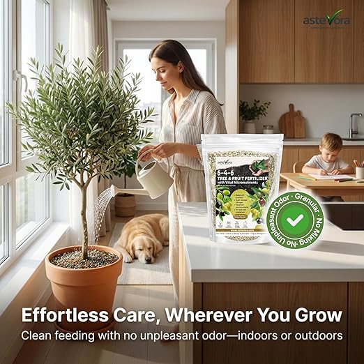 Olive Tree Fertilizer – Fruit Tree Fertilizer for Olive Tree, Citrus, Lemon, Lime, Fig, Avocado, Mango, Apple & Pomegranate – for Potted & Outdoor Trees (10 quarts - 20 lbs.)
