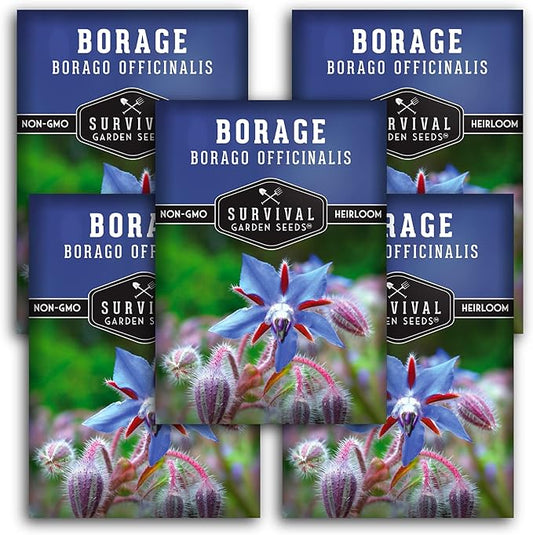 Survival Garden Seeds - Borage Seed for Planting - 5 Packs with Instructions to Plant and Grow Beautiful Medicinal Herb in Your Home Vegetable Garden - Non-GMO Heirloom Variety - Attracts Pollinators