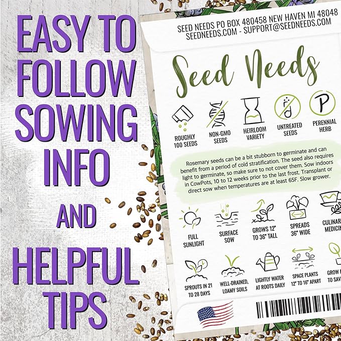 Seed Needs Rosemary Seeds for Planting - Non-GMO Heirloom & Untreated Perennial Herbs to Plant a Medicinal & Culinary Kitchen Garden Indoors or Outdoors (2 Packs)