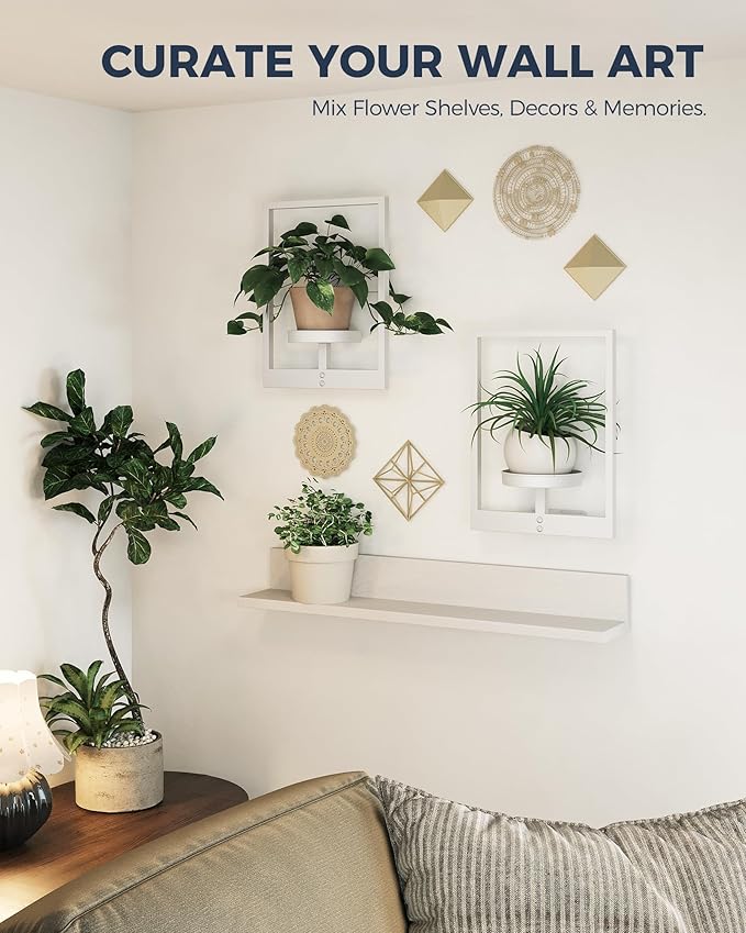 Bamworld Wall Plant Holder Plant Stand Indoor Wall Planters White | Wall Planters for Indoor Plants Window Plant Shelves Plant Holder Wall Decor, Room Decor 2 Pack (Patent Design)