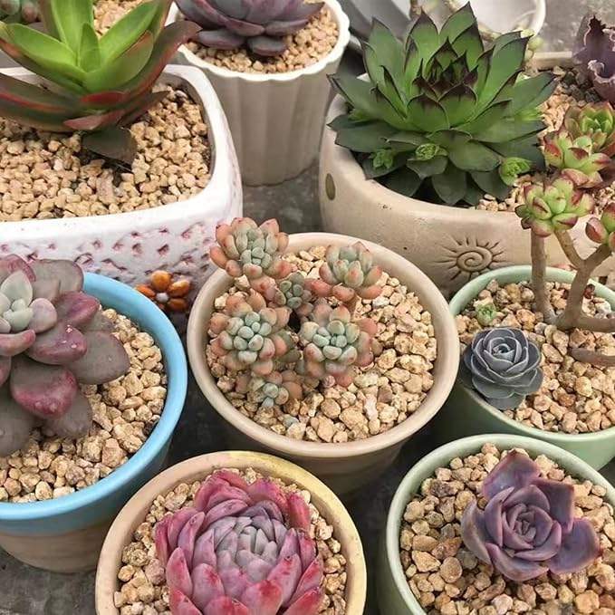 FANTIAN 5 lbs Maifanitum Stones for Succulent,1/4 Inch Decorative Rocks for Indoor Plants, Bonsai, Soil Cover. Small Stones for Promote Soil Root Growth, Water Drainage and Plant Growth(5-8 mm)