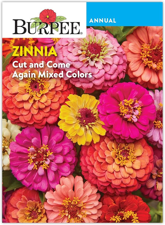 Burpee 'Cut & Come Again' Zinnia Flower Seeds - 550mg Non-GMO Flower Seed Packet for Home Gardening - Heirloom, Cutting Garden, Mixed Colors, Annual Variety, Pollinator Friendly
