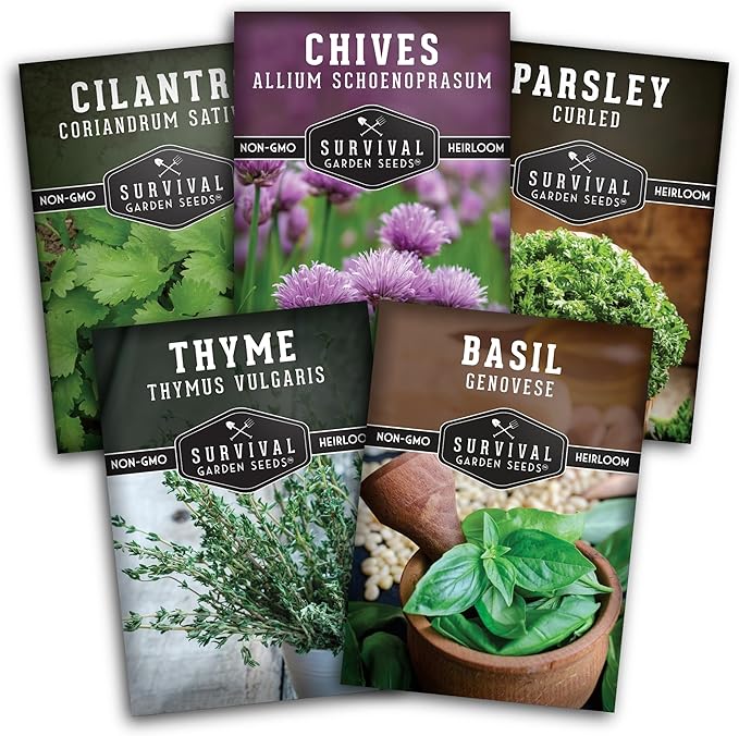 Kitchen Herb Seeds Variety Pack – 5 Garden Herb Seeds for Planting: Basil, Curly Parsley, Cilantro, Chives & Thyme – Heirloom Non GMO Indoor Outdoor Seed Vault - Survival Garden Seeds
