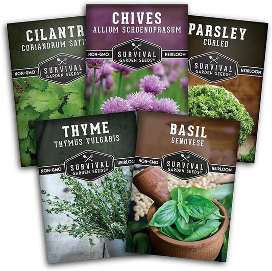 Kitchen Herb Seeds Variety Pack – 5 Garden Herb Seeds for Planting: Basil, Curly Parsley, Cilantro, Chives & Thyme – Heirloom Non GMO Indoor Outdoor Seed Vault - Survival Garden Seeds