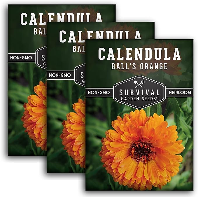 Ball’s Orange Calendula Seeds for Planting – Medicinal Herb & Edible Flower with Bright Orange Blooms – Heirloom Pot Marigold for Skin Care & Teas – Survival Garden Seeds (3 Packs)