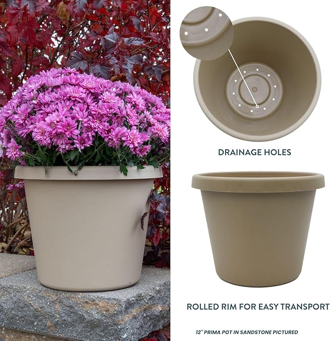 The HC Companies Prima Round Plastic Plant Pot w/Rolled Rim - Lightweight & UV Resistant Flower Pot for Herbs & More - Outdoor & Indoor Plant Pots w/Drainage (16 inch, Sandstone, Pack of 1)