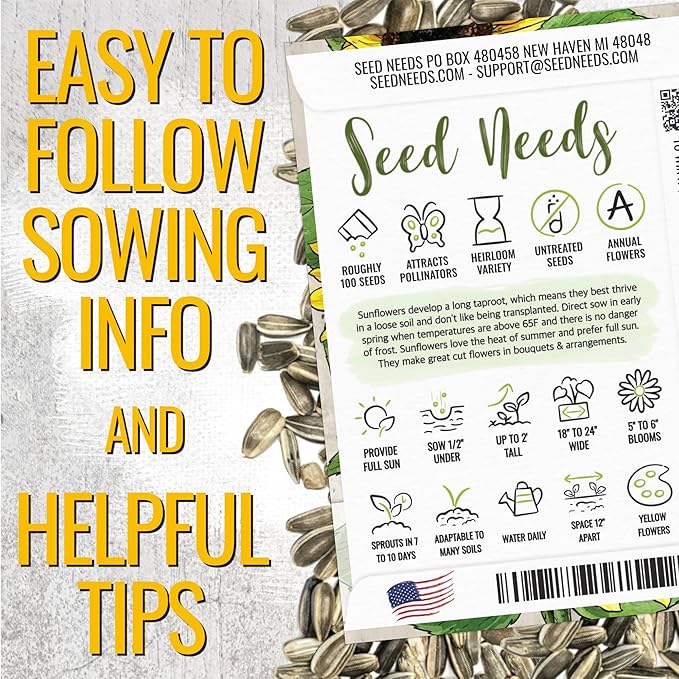 Seed Needs Dwarf Sunflower Seeds for Planting Yellow Pygmy Sunflowers - Heirloom & Open Pollinated Annual Cut Flowers - Perfect for Butterfly Gardens (2 Packs)