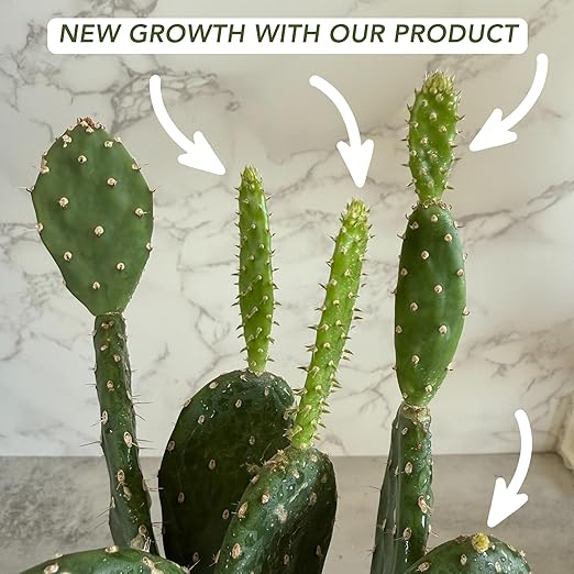 Organic Succulent & Cactus Fertilizer – Gentle Liquid Formula for Aloe Vera and Popular Indoor & Outdoor Succulents & Cacti (8 oz) Cute Farms