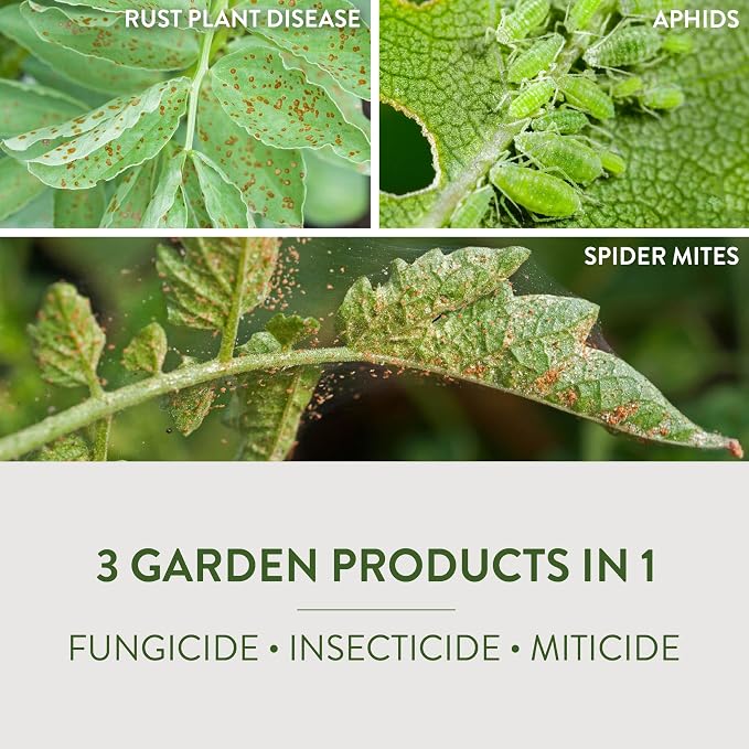 Garden Safe Fungicide, 1 Gallon, with Neem Oil Extract to Control Black Spot, Rust, Powdery Mildew, Aphids, Spider Mites, Whiteflies, Mites On Flowers, Houseplants, Fruits and Vegetables, 4 Pack