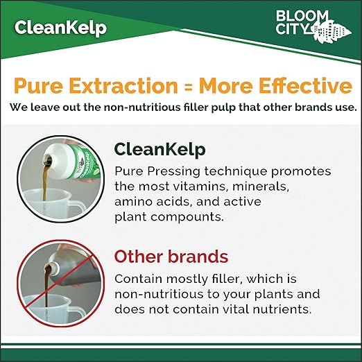 Bloom City Seaweed and Kelp Fertilizer – Liquid Seaweed Supplement for Stronger Roots, Faster Growth & Improved Stress Tolerance, 1 Gallon
