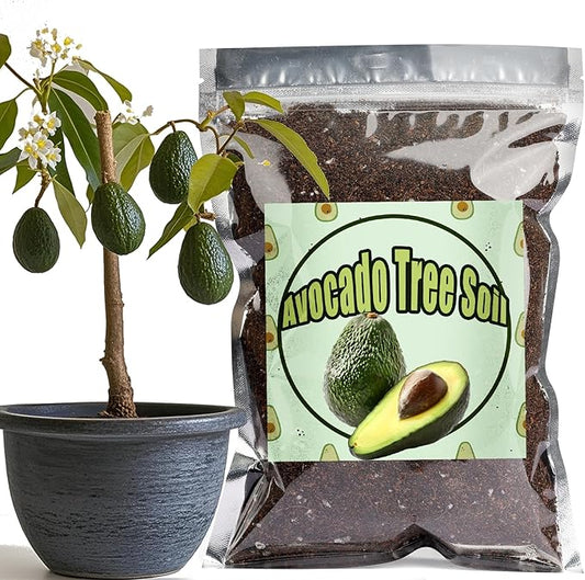 Organic Avocado Tree Potting Soil Mix 10qt, Enhance Growth and Transplant Success for Avocado Plants