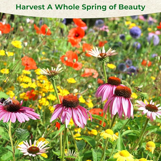 160000+ Wildflower Seeds Planting - 4oz Varieties Including Sunflower, Lavender, Zinnia & More, Attracts Bees & Butterflies, High Germination Rate, Easy to Grow for Garden, Balcony