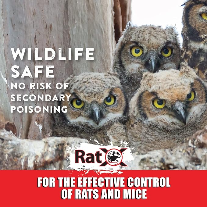 EcoClear Products 620100-6D RatX All-Natural All Species Rat Mouse, 8 oz. Bag