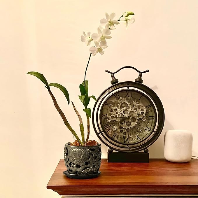 HERDUK Ceramic Orchid Pot with Drainage Holes & Saucer, 6.5 Inch, Indoor Orchid Containers with Precise Aeration & Drainage, Dark Gray