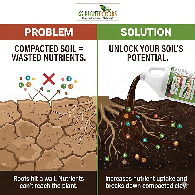 GS Plant Foods Humic Acid Soil Amendment – Leonardite-Derived Liquid Concentrate for Improved Soil Structure & Nutrient Availability – OMRI Listed for Organic Use – 5 Gallons (2 x 2.5 gl containers)