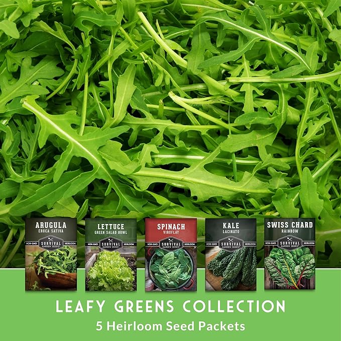 Leafy Greens Seeds Variety Pack – 5 Heirlooms: Viroflay Spinach, Arugula, Lacinato Kale, Salad Bowl Lettuce & Rainbow Swiss Chard – Cool Season Garden Collection - Survival Garden Seeds