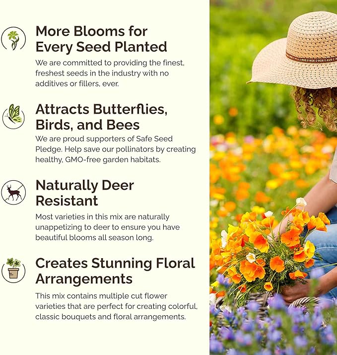 Eden Brothers New Mexico Wildflower Mixed Seeds for Planting, 1/4 lb, 120,000+ Seeds with Yarrow, Coreopsis | Attracts Pollinators, Plant in Spring or Fall, Zones