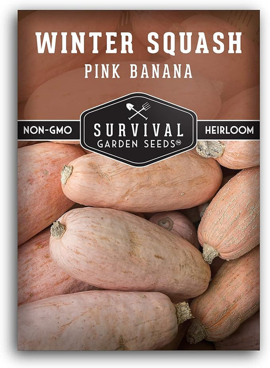 Survival Garden Seeds - Pink Banana Winter Squash Seed for Planting - Pack with Instructions to Plant and Grow Unique Winter Vegetables in Your Home Vegetable Garden - Non-GMO Heirloom Variety