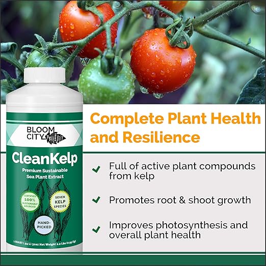 Bloom City Seaweed and Kelp Fertilizer – Liquid Seaweed Supplement for Stronger Roots, Faster Growth & Improved Stress Tolerance, 1 Gallon