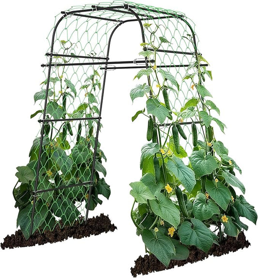 AlisisFores Garden Arch Plant Trellis for Climbing Plants Outdoor, Cucumber Trellis for Raised Bed, Grape Metal,Arbor Trellis Plant Support Flower Vegetables,Tomato Black,6.7FT Rust-Proof