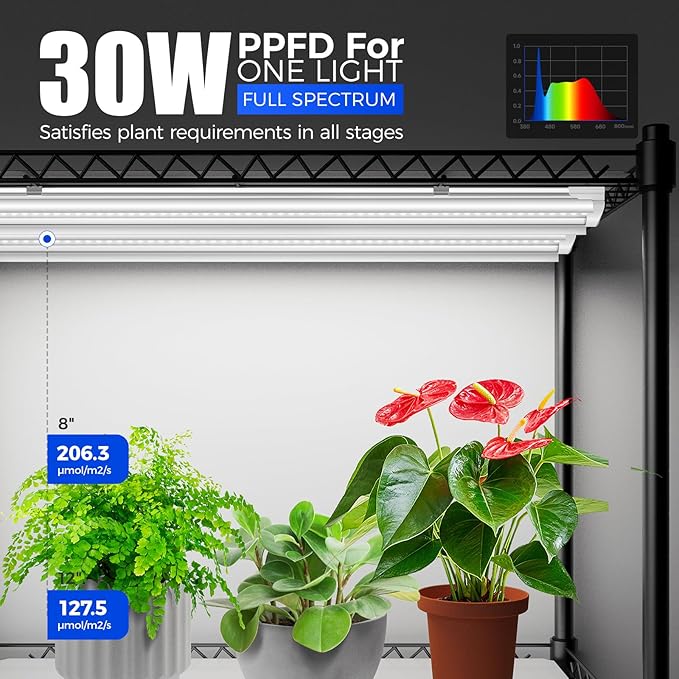 Barrina CX5Z Indoor Greenhouse with Grow Light, 180W, 4-Tier 35.4x13.8x59IN | Full Spectrum T8 Plant Lights, Portable Metal Plant Stand Tent, Timer, Thermometer for Seed Starting