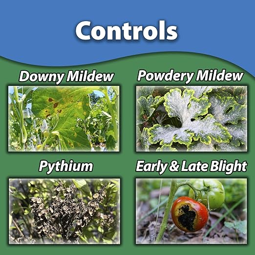 Monterey Houseplant Disease Control RTU, Organic Indoor & Outdoor Plant Spray, Controls Fungal & Bacterial Diseases, Bundled with Garden Measure Spoon - 16 fl oz