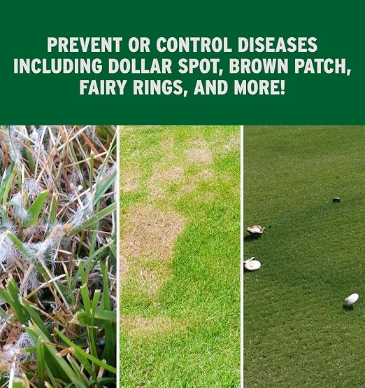 The Andersons Prophesy Propiconazole Broad Spectrum Fungicide on DG Pro, 25lbs (up to 10,000 sq ft.)