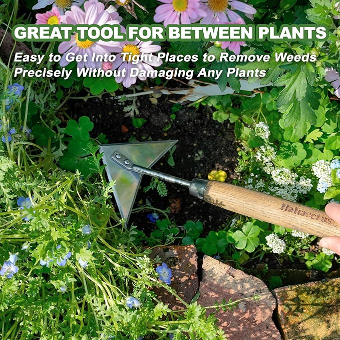 Haliaeetus Triangle Head Hoe, 15'' Scuffle Hoe for Weeding Precisely in Raised Bed, Stainless Steel Rogue Hoe for Weeding in Push-Pull Motion, Push Pull Hoe with Compact Size for Weeding Between Plant
