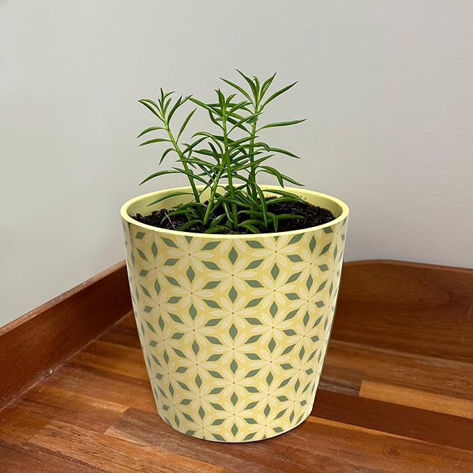 7” Self-Watering Pot – Eco-Friendly Bamboo Planter, Biodegradable & Plastic-Free, Indoor/Outdoor Plant Pot with Built-in Water Well for Healthy Root Growth
