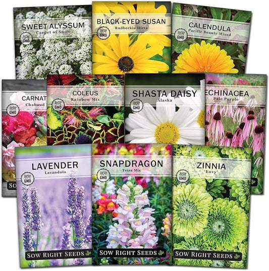 Sow Right Seeds - Large Flower Seed Collection - Coleus, Carnation, Daisy, Calendula, Alyssum, Echinacea, Lavender, Snapdragon & Zinnia - Non GMO Heirloom Seeds for Planting - 10 Packets