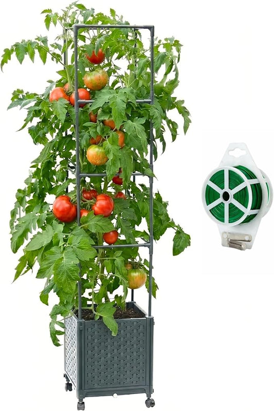 Raised Garden Bed Tomato Planter Box with Trellis, 56.7" Tomato Planters Cage w/Self-Watering for Climbing Plants Vegetables, Patio Indoor Outdoor