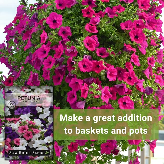 Sow Right Seeds - Dwarf Mixed Petunia Seeds to Plant - Full instructions for Planting and Growing a Flower Garden - Non-GMO Heirloom Seeds - Annual Hanging Basket Flower - Wonderful Gardening Gift (3)