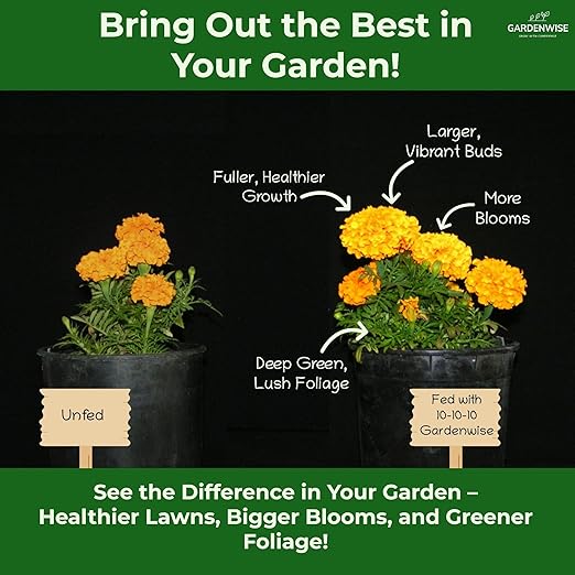 Gardenwise 10-10-10 All-Purpose Professional Fertilizer Plant Food for Indoor/Outdoor Gardening; Premium Shrub, Tree, Flower, Vegetable and Lawn Fertilizer; Quick-Release Nitrogen (20 QUARTS)