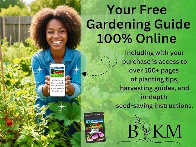 B&KM Farms Vegetable & Herb Seed Vault, 20 Varieties, 40 Packets, 20,000+ Heirloom Non-GMO Seeds, Water Resistant Reclosable Packaging, Home Garden (20 Pack: The Beginner Garden Collection)
