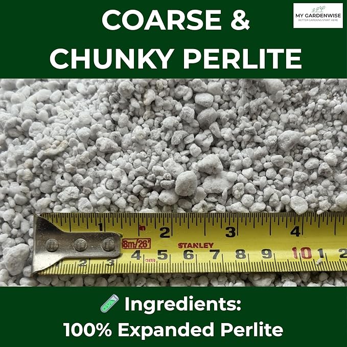 GARDENWISE Perlite for Plants, Coarse and Chunky Horticultural Perlite, Organic Perlite for Gardening Indoor & Outdoor, Perlite Bulk Bag, Made in USA (1 Quart)