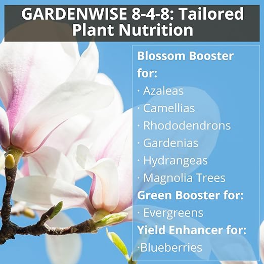 GARDENWISE 8-4-8 Acidic Fertilizer for Azaleas, Camellias (Camelia), Hydrangeas, Blueberries, Gardenias, Magnolia Trees, Evergreens, and Rhododendrons - Ideal Iron-Rich Plant Food (3 QUARTS)