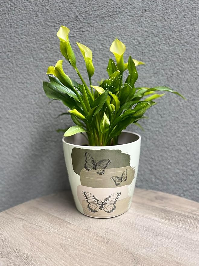7” Self-Watering Pot – Eco-Friendly Bamboo Planter, Biodegradable & Plastic-Free, Indoor/Outdoor Plant Pot with Built-in Water Well for Healthy Root Growth