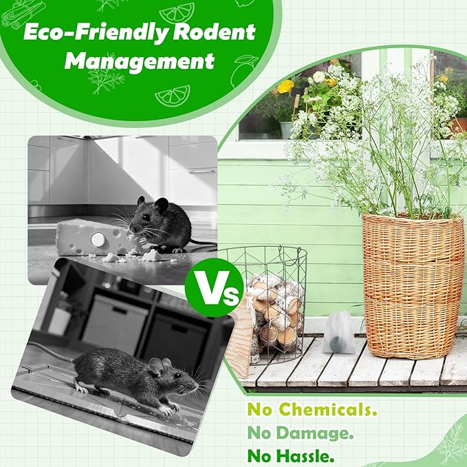 Mouse Repellent, Peppermint Oil Rodent Deterrent for Mice, Rats, Plant-Based Pest Control, Long-Lasting Mint Scent, Safe for Home, Garage, Storage, RV & Garden (24)