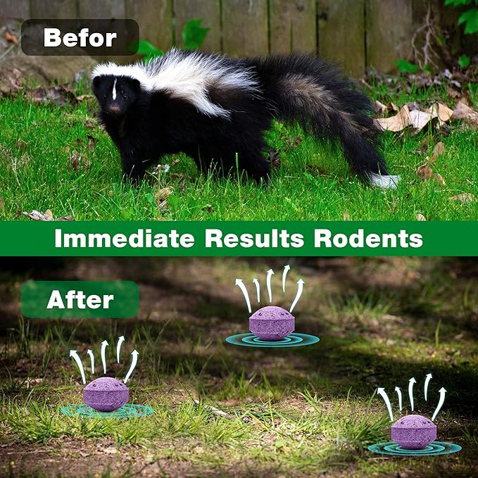 24 Pack Skunk Repellent Outdoor - Raccoon Repellent for Indoor Outdoor, Natural Peppermint Oil Skunk Rodent Safe for Pets & Kids Repels Skunk Raccoon