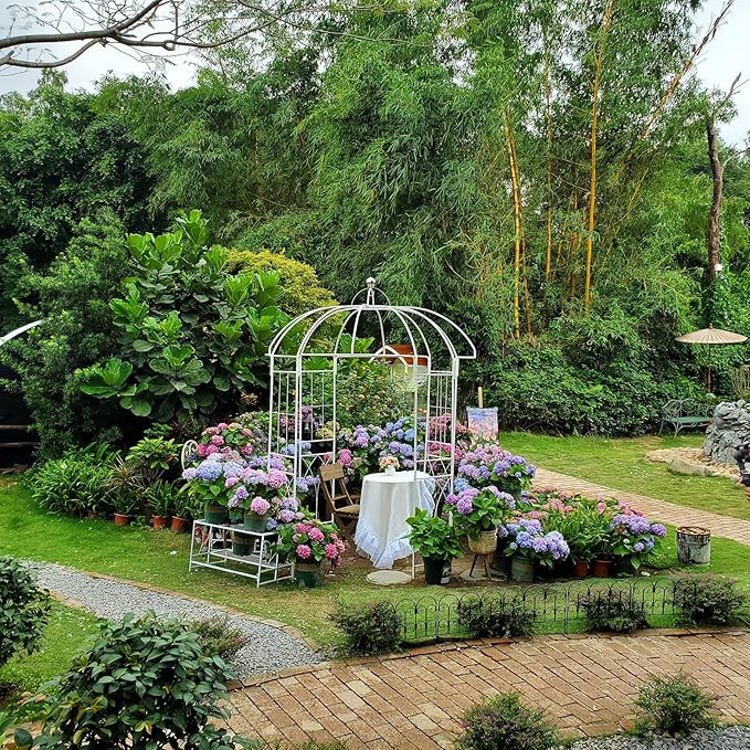 Birdcage Shape Garden Arches Arbors,9' High x 6.8' Wide,Metal Gazebo White Enduring Iron Trellis Plants Stand Use for Outdoor Garden Climbing Plants Wedding Arches Ceremony