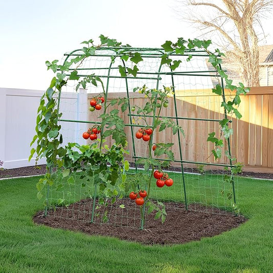 HIRALIY Garden Arch Trellis for Climbing Plants, 6.3ft Tall Heavy Duty Metal Cucumber Trellis, Rustproof Plant Support Tunnel for Tomato, Grape, Bean, Raised Bed and Vegetable Gardens, Green
