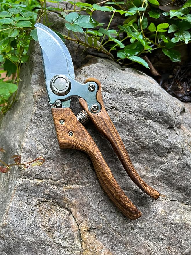Garden Pruning Shears, Floral wire cutter, German Stainless Steel Blades, 1 inch Cut Capacity, Garden Snips for flowers with Non-Slip Handle, Lightweight & Ergonomic Professional