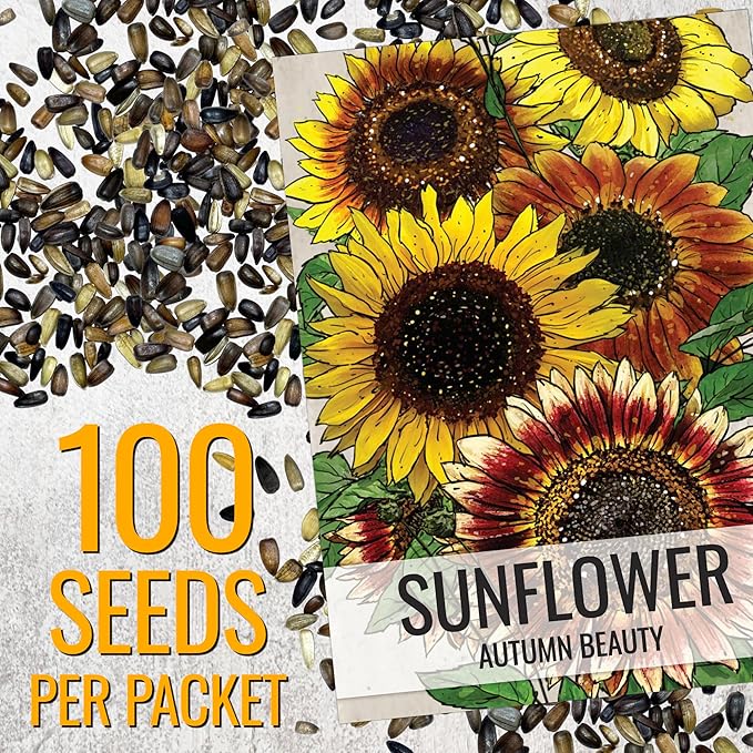Seed Needs Autumn Beauty Sunflower Seeds for Planting Colorful Mixed Sunflowers - Heirloom & Open Pollinated Flower Seed to Plant an Outdoor Wildflower Butterfly Garden (1 Pack)