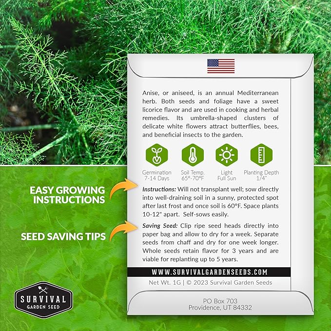 Anise Seeds for Planting - Sweet Anise Herb (Pimpinella anisum) - Culinary and Tea Garden Variety, Heirloom Non GMO - Survival Garden Seeds (2 Pack)