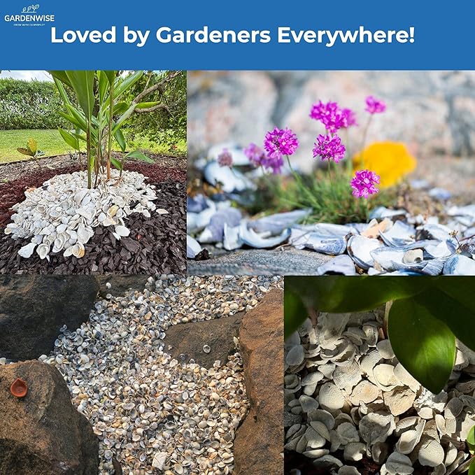 GARDENWISE Natural Organic Sea Shell Mulch for Gardens and Landscaping – Decorative and Nutrient-Rich, 0.5–3-Inch Shells, Perfect for Indoor and Outdoor Use (0.3 CF - 8 L - 9 QTS)