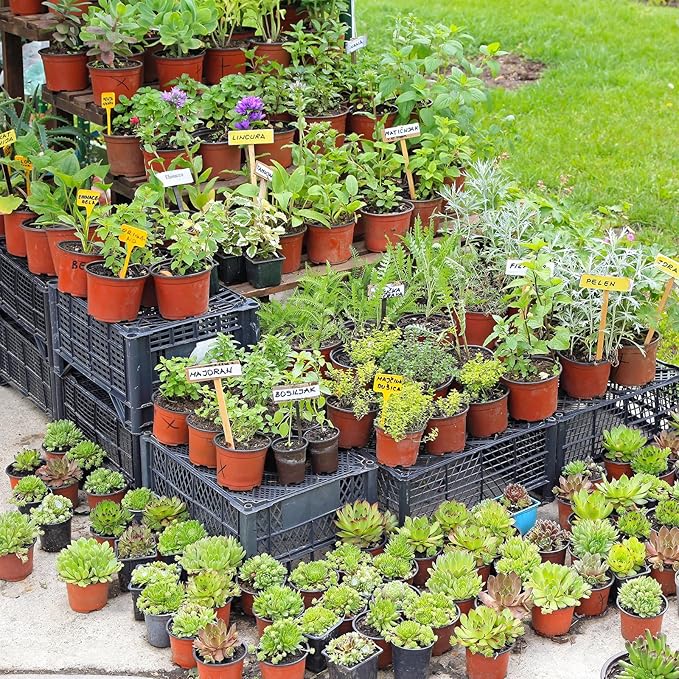 Delxo 100 Pcs 6 Inch Plants Nursery Pots Reusable Plant Seeding Nursery Pot Waterproof Plastic Pots Seed Starting Pots